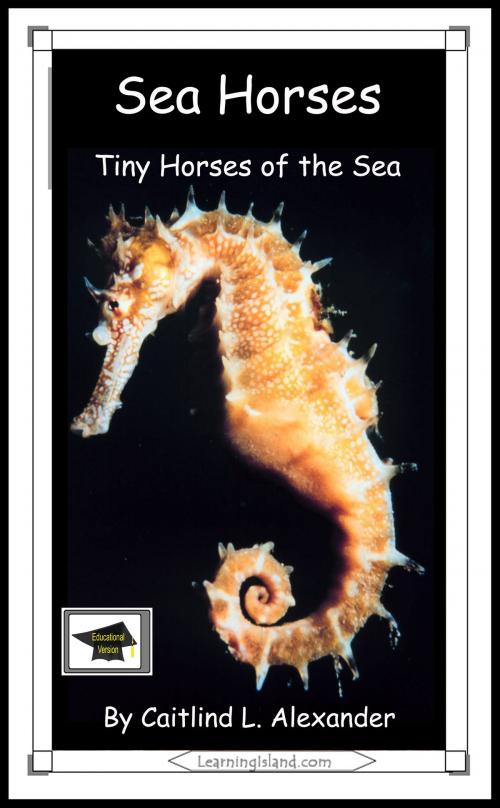 Cover of the book Sea Horses: Tiny Horses of the Sea: Educational Version by Caitlind L. Alexander, LearningIsland.com