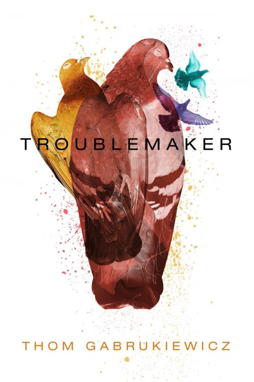 Cover of the book Troublemaker by Thom Gabrukiewicz, Thom Gabrukiewicz