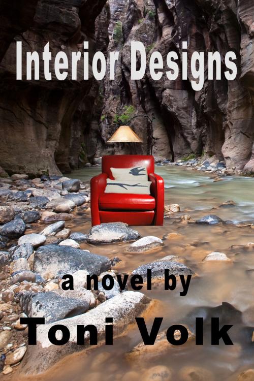 Cover of the book Interior Designs by Toni Volk, Toni Volk