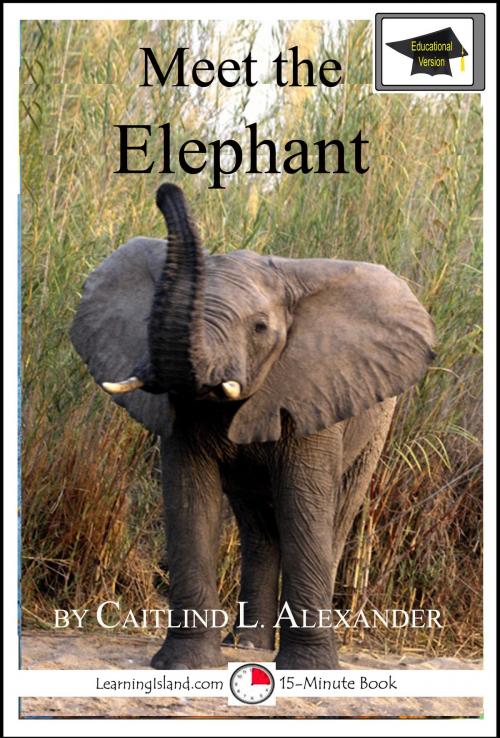 Cover of the book Meet the Elephant: Educational Version by Caitlind L. Alexander, LearningIsland.com