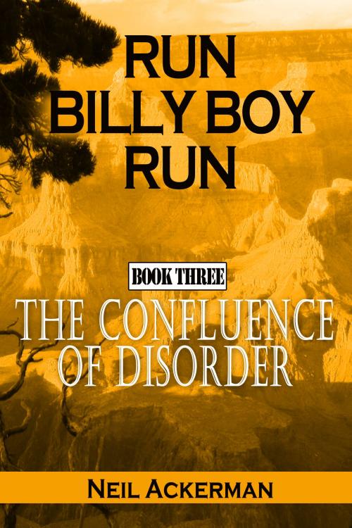Cover of the book Run Billy Boy Run, Book Three: The Confluence of Disorder by Neil Ackerman, Neil Ackerman