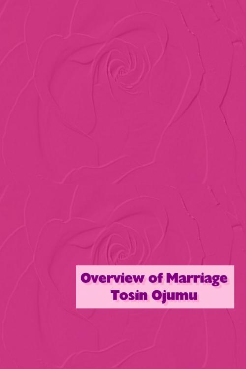 Cover of the book Overview of Marriage by Tosin Ojumu, Oruko Oluwa