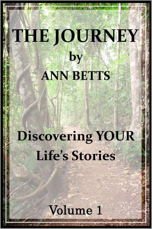 Cover of the book The Journey Volume 1 by Ann Betts, Ann Betts