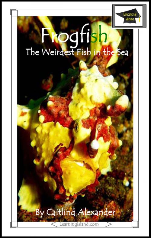 Cover of the book Frogfish: The Weirdest Fish in the Sea: Educational Version by Caitlind L. Alexander, LearningIsland.com
