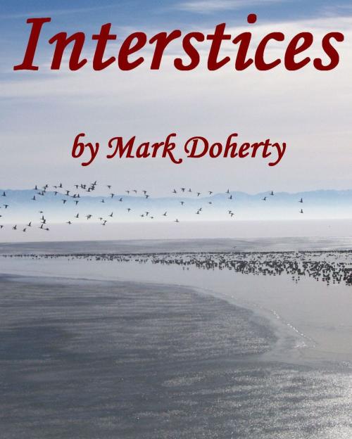 Cover of the book Interstices, Outdoors, Out West, Out of the Ordinary & Memorable Desert and Mountain Moments by Mark Doherty, Mark Doherty