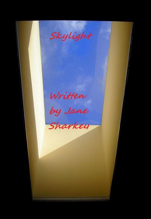 Cover of the book Skylight by Jane Sharkey, Jane Sharkey