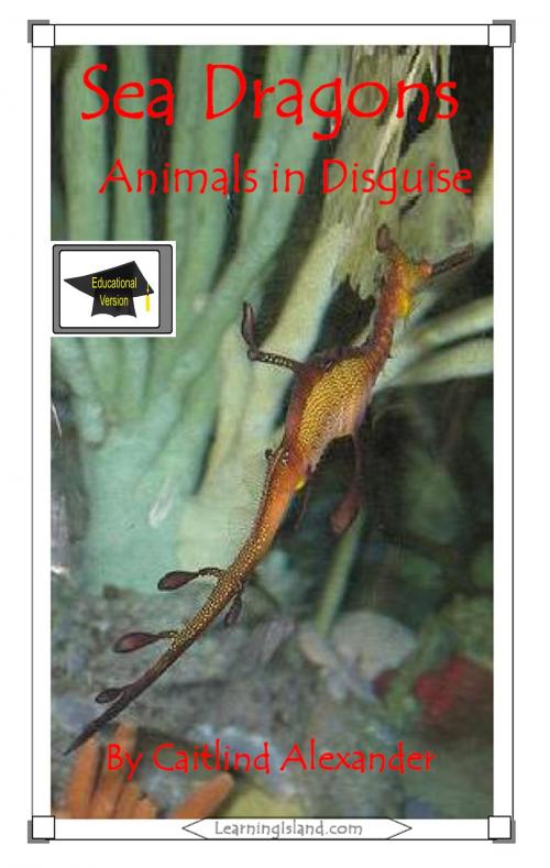 Cover of the book Sea Dragons: Animals in Disguise: Educational Version by Caitlind L. Alexander, LearningIsland.com