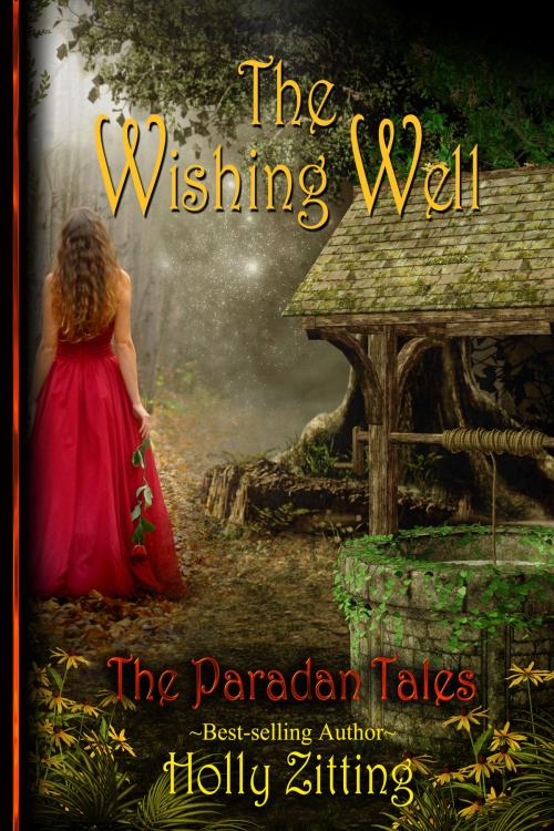 Cover of the book The Wishing Well by Holly Zitting, Holly Zitting