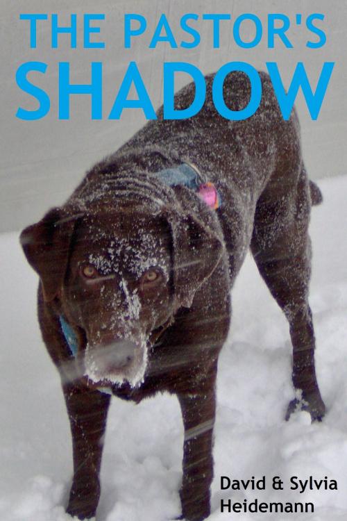 Cover of the book The Pastor's Shadow by Sylvia Heidemann, Sylvia Heidemann