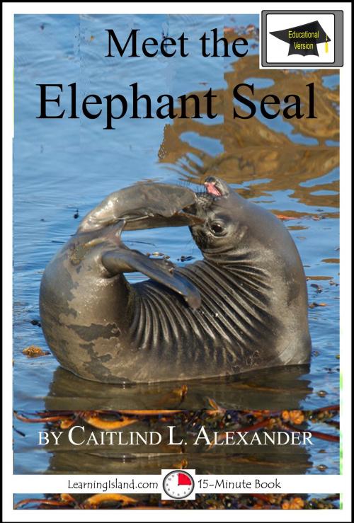 Cover of the book Meet the Elephant Seal: Educational Version by Caitlind L. Alexander, LearningIsland.com