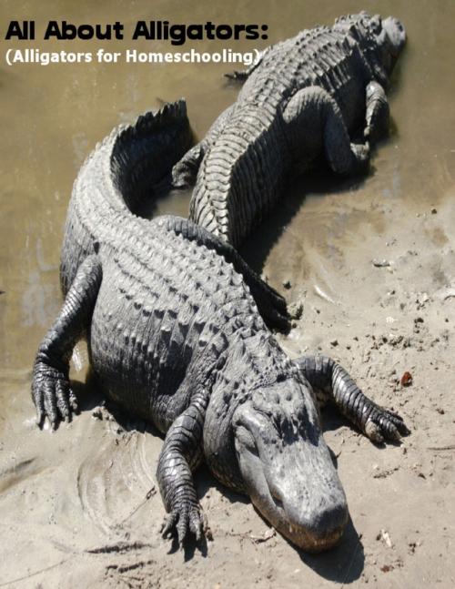 Cover of the book All About Alligators: (Alligators for Homeschooling) by Sean Mosley, Lulu.com