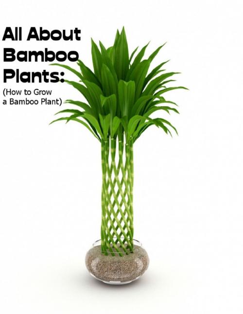 Cover of the book All About Bamboo Plants: (How to Grow a Bamboo Plant) by Sean Mosley, Lulu.com