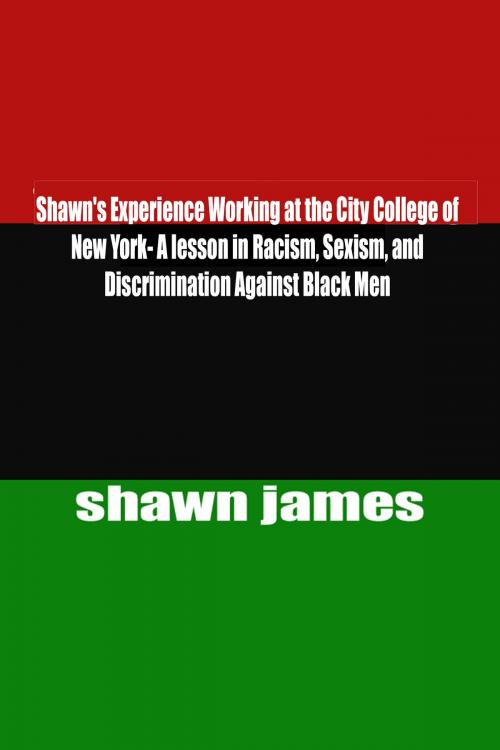 Cover of the book Shawn's Experience Working at the City College of New York- A lesson in Racism, Sexism, and Discrimination Against Black Men by Shawn James, Shawn James
