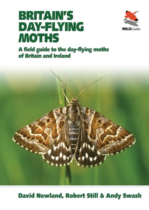 Cover of the book Britain's Day-flying Moths by David Newland, Andy Swash, Mark Parsons, Robert Still, Princeton University Press