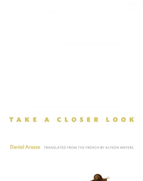 Cover of the book Take a Closer Look by Daniel Arasse, Princeton University Press