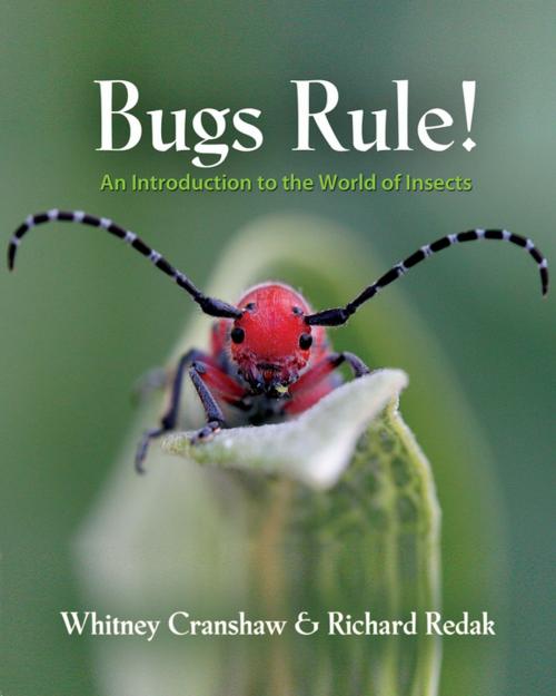 Cover of the book Bugs Rule! by Whitney Cranshaw, Richard Redak, Princeton University Press