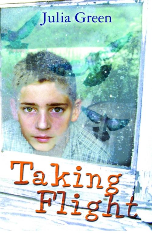 Cover of the book Taking Flight by Julia Green, Bloomsbury Publishing