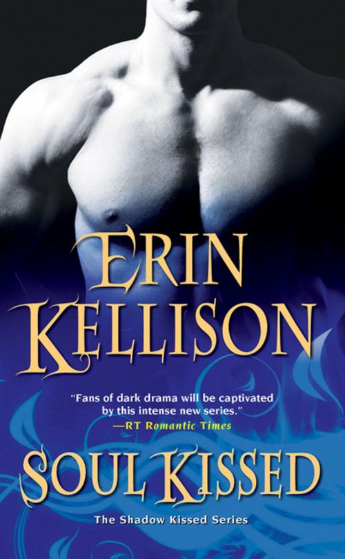 Cover of the book Soul Kissed by Erin Kellison, Zebra Books