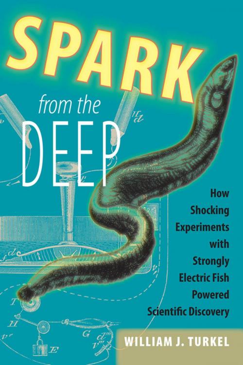 Cover of the book Spark from the Deep by William J. Turkel, Johns Hopkins University Press