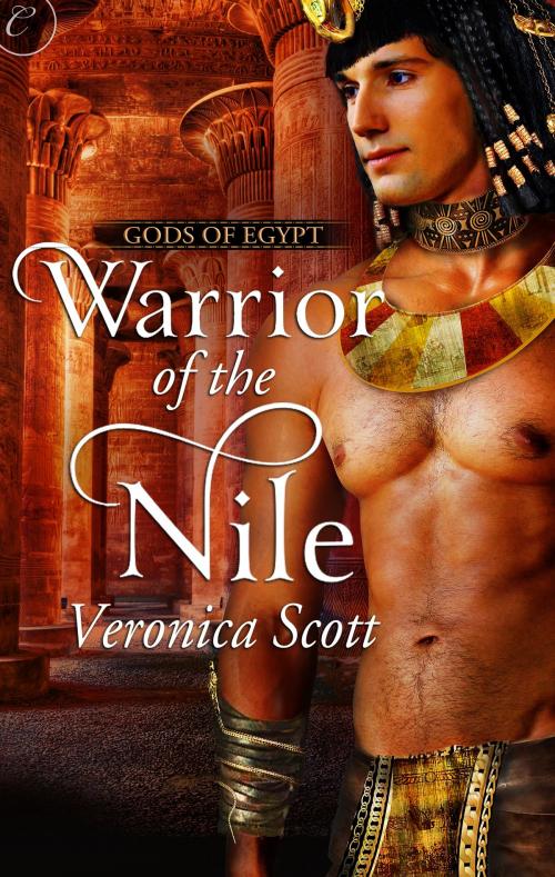 Cover of the book Warrior of the Nile by Veronica Scott, Carina Press