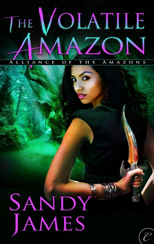 Cover of the book The Volatile Amazon by Sandy James, Carina Press