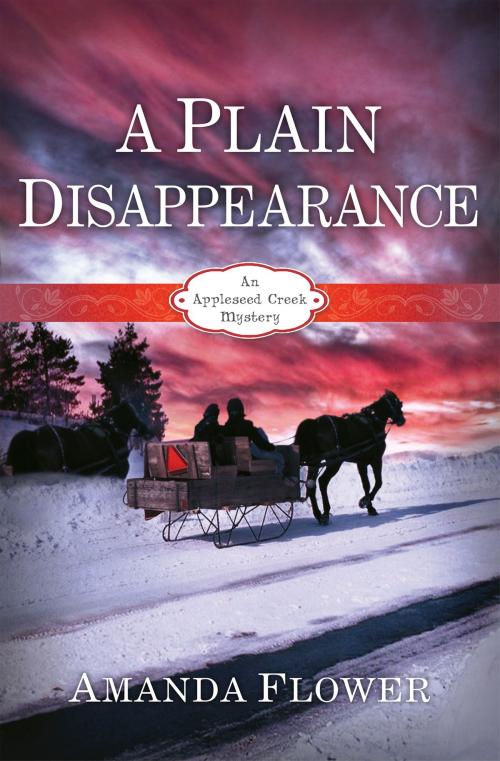 Cover of the book A Plain Disappearance by Amanda Flower, B&H Publishing Group