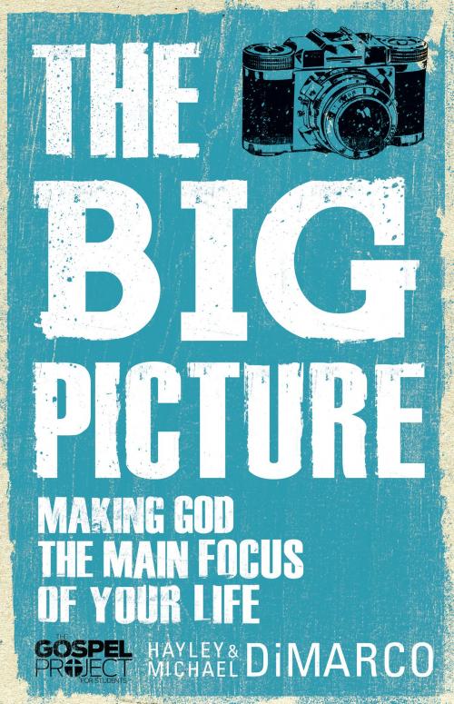 Cover of the book The Big Picture by Hayley DiMarco, Michael DiMarco, B&H Publishing Group
