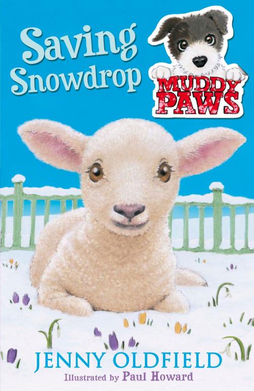 Cover of the book Saving Snowdrop by Jenny Oldfield, Hachette Children's