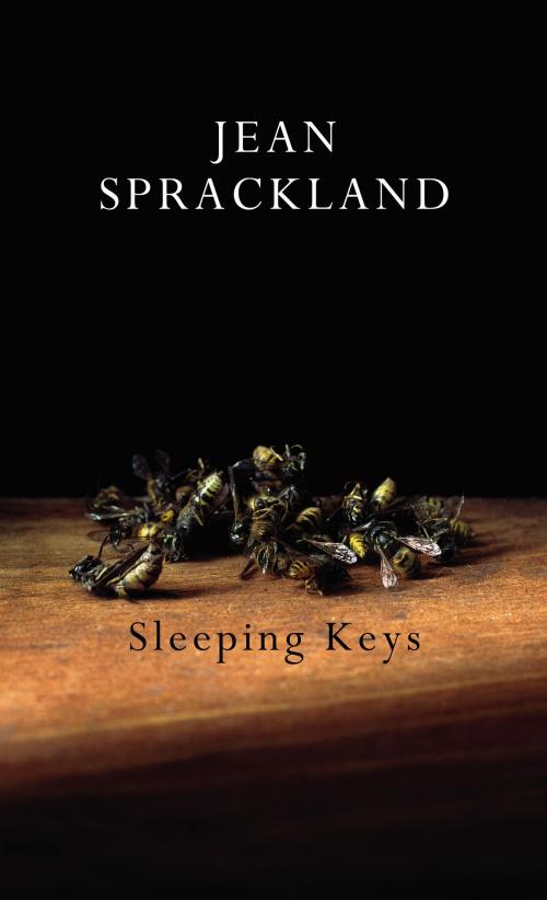 Cover of the book Sleeping Keys by Jean Sprackland, Random House