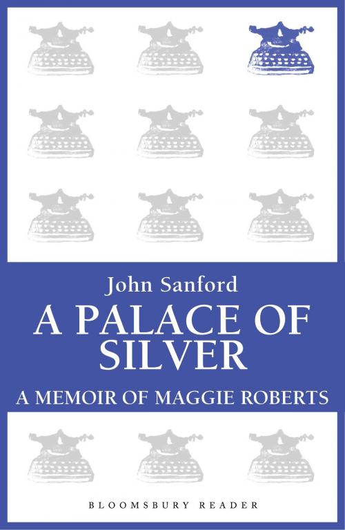 Cover of the book A Palace of Silver by John Sanford, Bloomsbury Publishing