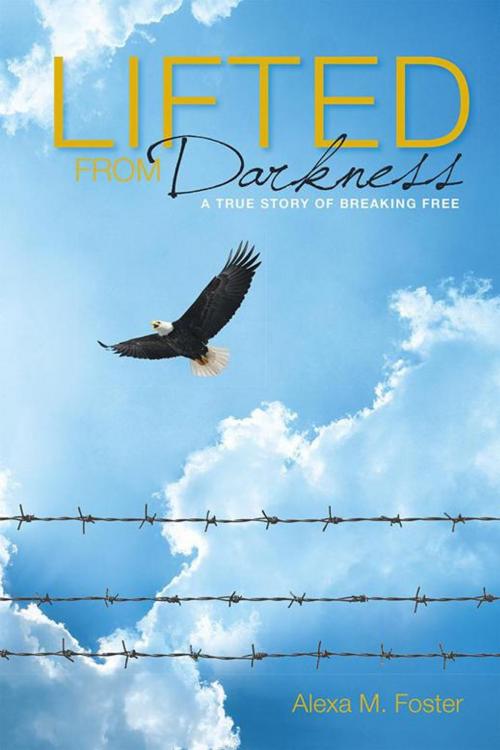 Cover of the book Lifted from Darkness by Jeanette M. Towne, WestBow Press