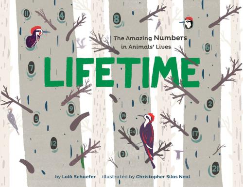 Cover of the book Lifetime by Lola M. Schaefer, Chronicle Books LLC