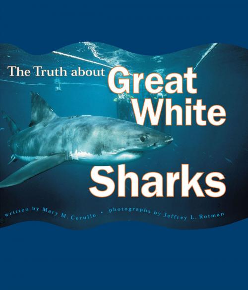 Cover of the book The Truth About Great White Sharks by Mary M. Cerullo, Chronicle Books LLC