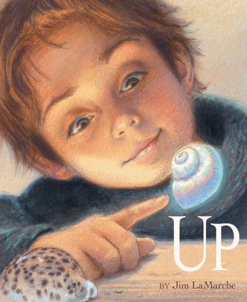 Cover of the book Up by Jim LaMarche, Chronicle Books LLC