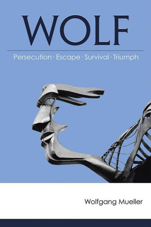 Cover of the book Wolf by Wolfgang Mueller, Abbott Press