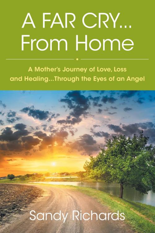 Cover of the book A Far Cry...From Home by Sandy Richards, FriesenPress