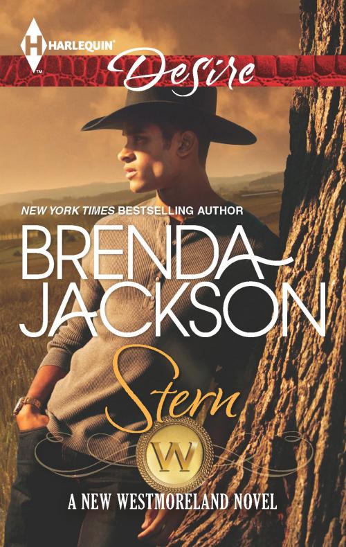 Cover of the book Stern by Brenda Jackson, Harlequin