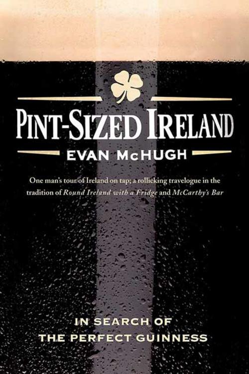 Cover of the book Pint-Sized Ireland by Evan McHugh, St. Martin's Press