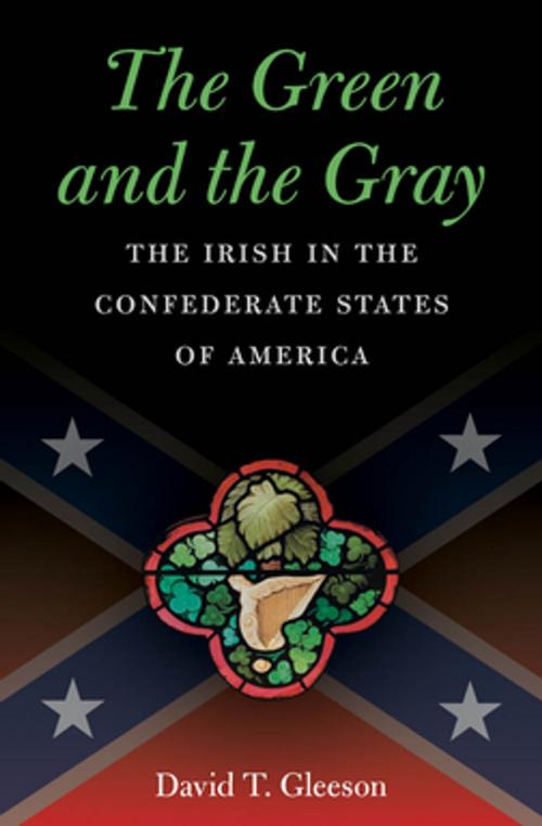 Cover of the book The Green and the Gray by David T. Gleeson, The University of North Carolina Press