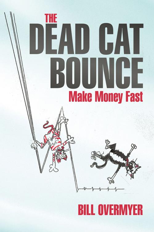 Cover of the book The Dead Cat Bounce by Bill Overmyer, iUniverse
