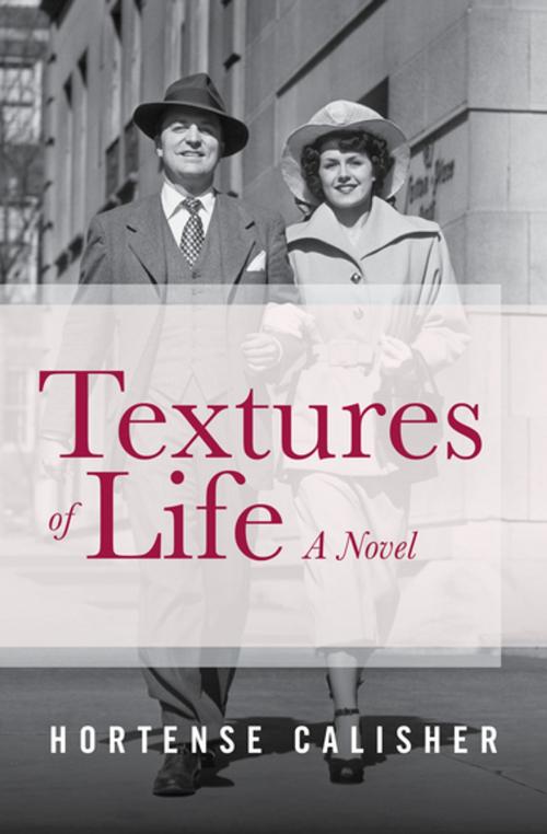 Cover of the book Textures of Life by Hortense Calisher, Open Road Media