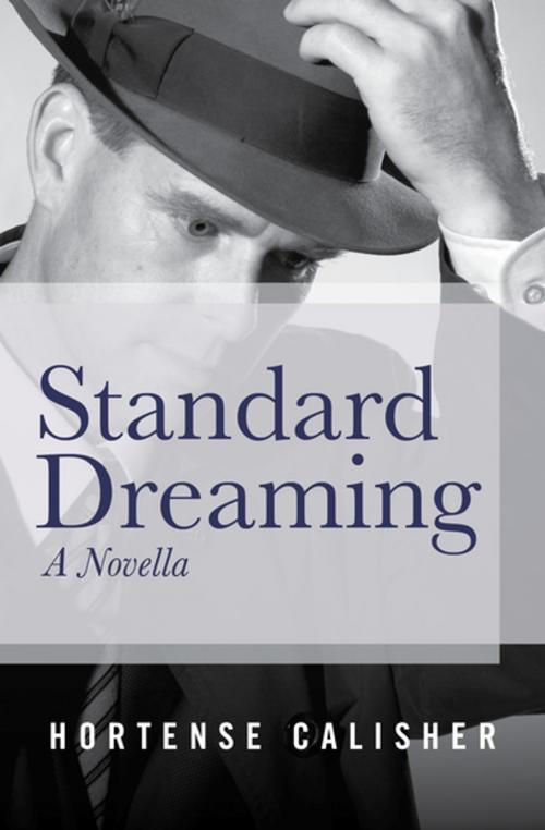 Cover of the book Standard Dreaming by Hortense Calisher, Open Road Media