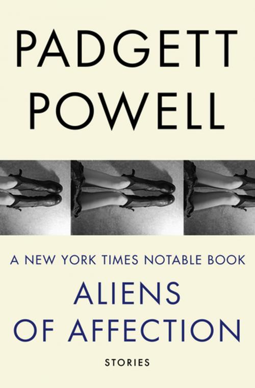 Cover of the book Aliens of Affection by Padgett Powell, Open Road Media