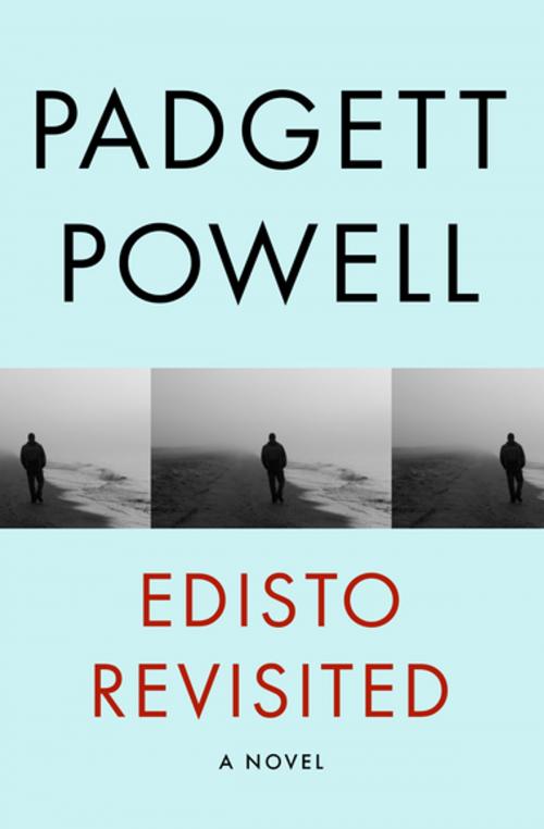 Cover of the book Edisto Revisited by Padgett Powell, Open Road Media