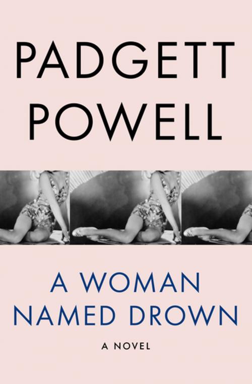 Cover of the book A Woman Named Drown by Padgett Powell, Open Road Media