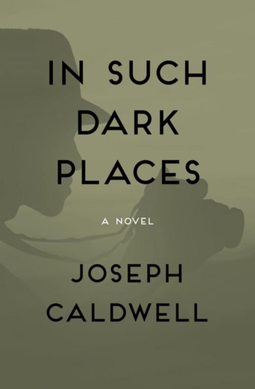 Cover of the book In Such Dark Places by Joseph Caldwell, Open Road Media