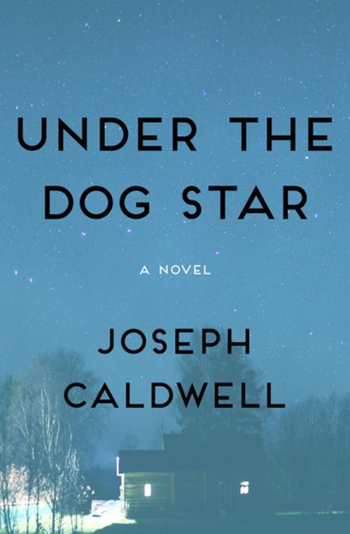 Cover of the book Under the Dog Star by Joseph Caldwell, Open Road Media