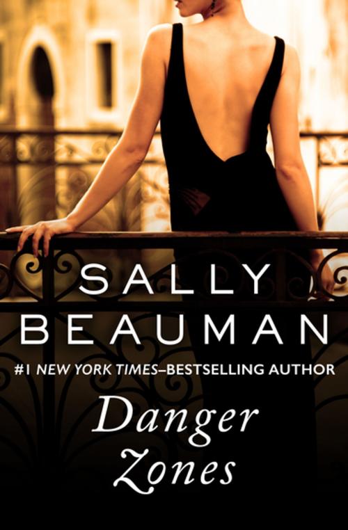 Cover of the book Danger Zones by Sally Beauman, Open Road Media
