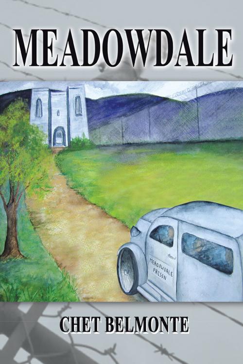 Cover of the book Meadowdale by Chet Belmonte, AuthorHouse
