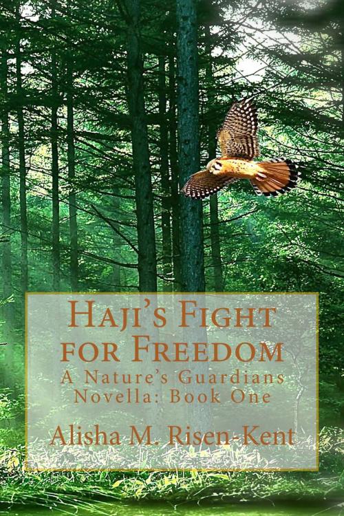 Cover of the book Haji's Fight For Freedom by Alisha M. Risen-Kent, BookBaby